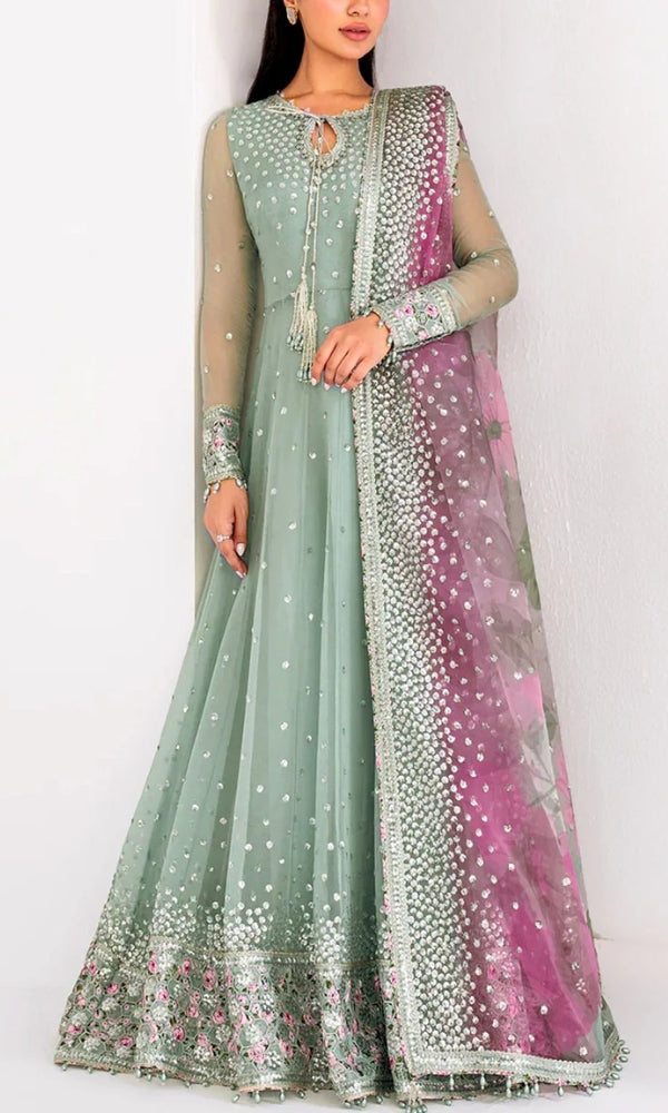 Fancy Heavy Embroidered Chiffon Maxi Dress